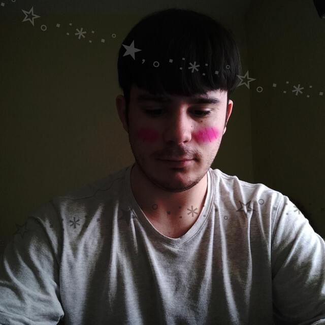 Portada de *:･ﾟ✧(ꈍωꈍ)✧･ﾟ:*